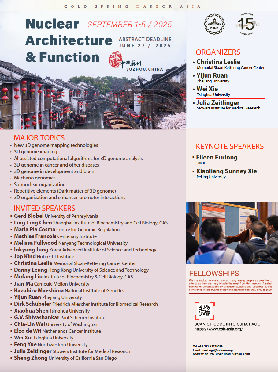 flyer.png